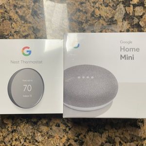 Google Nest “Smart” Thermostat, and Google Home Mini Combo